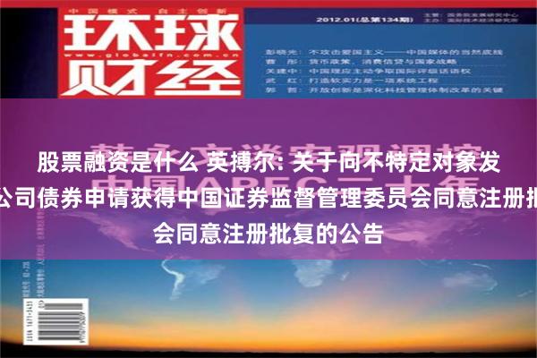 股票融资是什么 英搏尔: 关于向不特定对象发行可转换公司债券申请获得中国证券监督管理委员会同意注册批复的公告