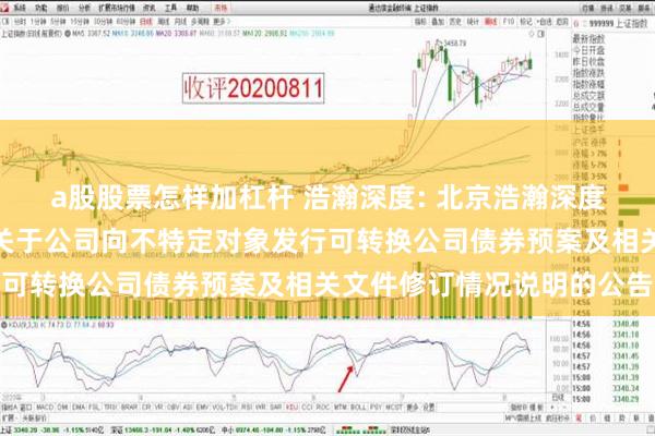 a股股票怎样加杠杆 浩瀚深度: 北京浩瀚深度信息技术股份有限公司关于公司向不特定对象发行可转换公司债券预案及相关文件修订情况说明的公告