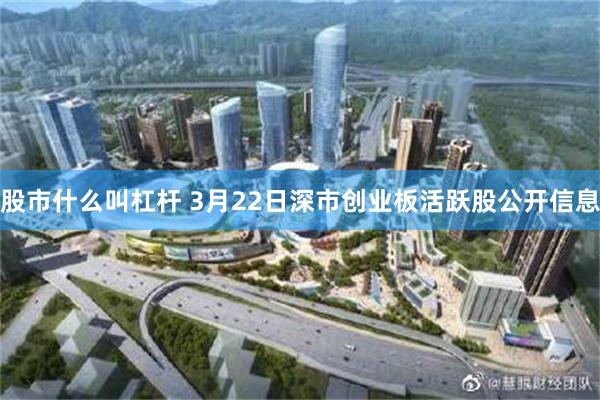 股市什么叫杠杆 3月22日深市创业板活跃股公开信息