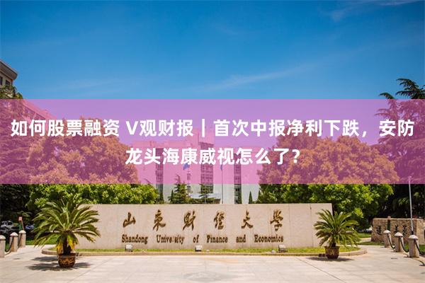 如何股票融资 V观财报｜首次中报净利下跌，安防龙头海康威视怎么了？