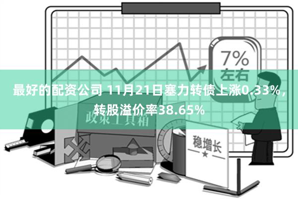 最好的配资公司 11月21日塞力转债上涨0.33%，转股溢价率38.65%