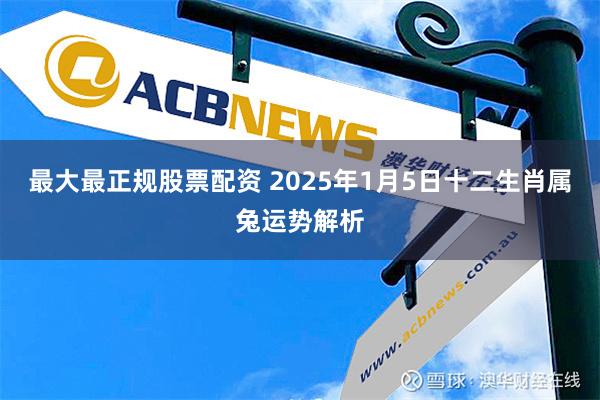 最大最正规股票配资 2025年1月5日十二生肖属兔运势解析