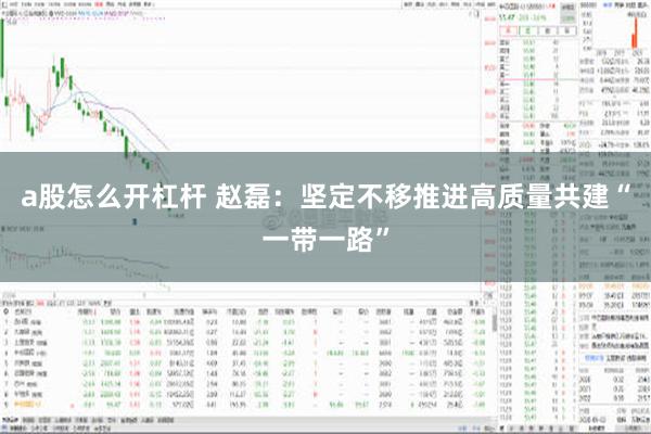 a股怎么开杠杆 赵磊：坚定不移推进高质量共建“一带一路”